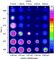 Graphical abstract: Thermal effects in polymerisations – a live view differentiating between bulk effects, thermal diffusion, and oxygen inhibition