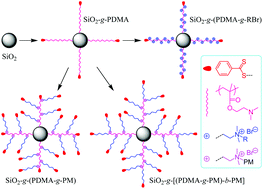 Graphical abstract: Facile synthesis of silica nanoparticles grafted with quaternized linear, comblike and toothbrushlike copolymers