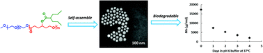 Graphical abstract: Synthesis and characterization of valproic acid ester pro-drug micelles via an amphiphilic polycaprolactone block copolymer design