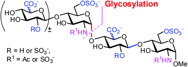 Graphical abstract: Efficient synthesis of a library of heparin tri- and tetrasaccharides relevant to the substrate of heparanase