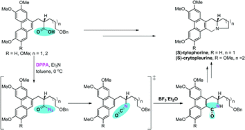 Graphical abstract: Asymmetric synthesis of (S)-tylophorine and (S)-cryptopleurine via one-pot Curtius rearrangement and Friedel–Crafts reaction tandem sequence
