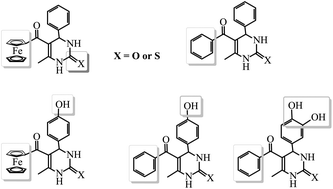 Graphical abstract: Ferrocene as a functional group enhances the inhibitive effect of dihydropyrimidine on radical-induced oxidation of DNA