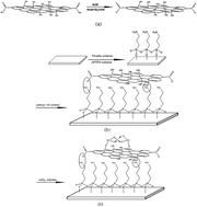 Graphical abstract: Tribology study of lanthanum-treated graphene oxide thin film on silicon substrate