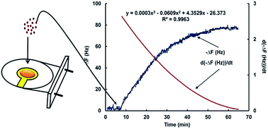Graphical abstract: Experimental design and multi-objective optimization of molecularly imprinted polymers for monosaccharides