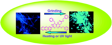 Graphical abstract: Mechanochromic and photochromic dual-responsive properties of an amino acid based molecule in polymorphic phase