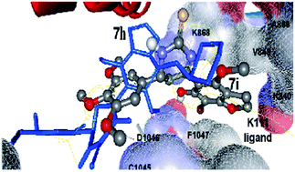 Graphical abstract: Design, synthesis and anticancer activity of benzofuran derivatives targeting VEGFR-2 tyrosine kinase