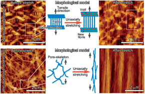 Graphical abstract: Deformation and fracture behaviors of microporous polymer separators for lithium ion batteries