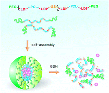 Graphical abstract: Biodegradable multiblock polyurethane micelles with tunable reduction-sensitivity for on-demand intracellular drug delivery