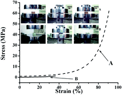 Graphical abstract: High strength biocompatible PEG single-network hydrogels