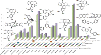 Graphical abstract: Lauraceae alkaloids
