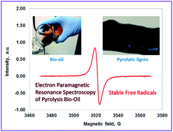 Graphical abstract: Identification of free radicals in pyrolysis oil and their impact on bio-oil stability