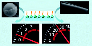 Graphical abstract: Effect of surfactants on the performance of tubular and spherical micromotors – a comparative study