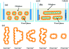 Graphical abstract: Electrochemical assembly of ZnO architectures via deformation and coalescence of soft colloidal templates in reverse microemulsion