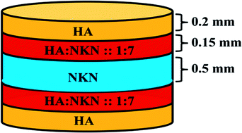 Graphical abstract: Enhanced polarization of hydroxyapatite using the design concept of functionally graded materials with sodium potassium niobate