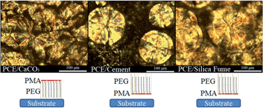 Graphical abstract: Determination of adsorption mechanism of polycarboxylate-ether based superplasticizers using crystallization, thermal and mass spectrometry methods