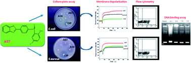 Graphical abstract: Design, synthesis and mode of action of some benzothiazole derivatives bearing an amide moiety as antibacterial agents