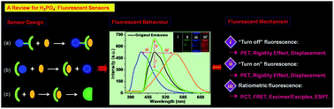 Graphical abstract: Recent advances in H2PO4− fluorescent sensors