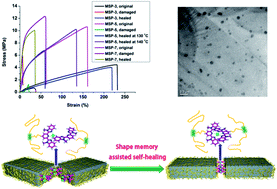 Graphical abstract: Thermal-healable and shape memory metallosupramolecular poly(n-butyl acrylate-co-methyl methacrylate) materials