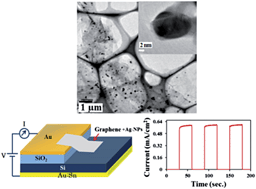 Graphical abstract: Photoresponsivity of silver nanoparticles decorated graphene–silicon Schottky junction