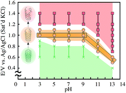 Graphical abstract: Oxidative corrosion potential vs. pH diagram for single-walled carbon nanotubes