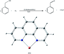 Graphical abstract: DFT studies on the mechanism of veratryl alcohol oxidation catalyzed by Cu–phen complexes