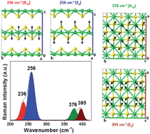 Graphical abstract: Assignment of Raman-active vibrational modes of tetragonal mackinawite: Raman investigations and ab initio calculations