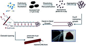 Graphical abstract: EG-Assisted hand-in-hand growth of prism-like Cu2O nanorods with high aspect ratios and their thermal conductive performance