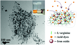 Graphical abstract: One-step green synthesis of arginine-capped iron oxide/reduced graphene oxide nanocomposite and its use for acid dye removal