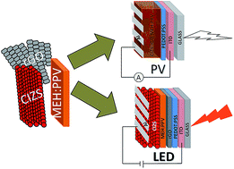 Graphical abstract: Solution-processed reduced graphene oxide in light-emitting diodes and photovoltaic devices with the same pair of active materials