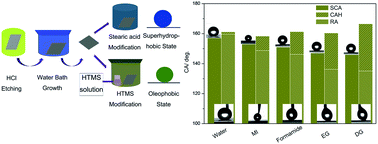 Graphical abstract: Preparation of lotus-like hierarchical microstructures on zinc substrate and study of its wettability