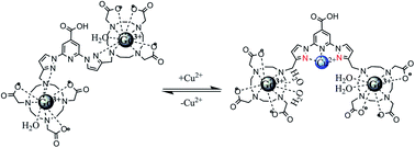 Graphical abstract: A smart copper(ii)-responsive binuclear gadolinium(iii) complex-based magnetic resonance imaging contrast agent