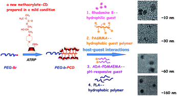 Graphical abstract: Facile synthesis of well-defined cyclodextrin-pendant polymer via ATRP for nanostructure fabrication