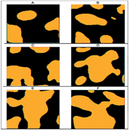 Graphical abstract: Composite membranes derived from immiscible NBR/SBR blends and amphiphilic montmorillonites: permeability evaluation of these membranes for benzene and toluene in their binary mixtures