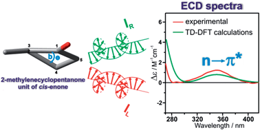 Graphical abstract: Structure – chiroptical properties relationship of cisoid enones with an α-methylenecyclopentanone unit