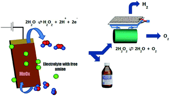 Graphical abstract: Ion effects in water oxidation to hydrogen peroxide