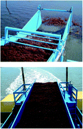 Graphical abstract: Microwave-induced low temperature pyrolysis of macroalgae for unprecedented hydrogen-enriched syngas production