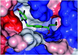 Graphical abstract: Quantitative structure–activity relationships and design of thymine-like inhibitors of thymidine monophosphate kinase of Mycobacterium tuberculosis with favourable pharmacokinetic profiles