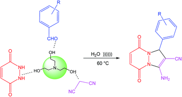 Graphical abstract: Triethanolamine as an inexpensive and efficient catalyst for the green synthesis of novel 1H-pyrazolo[1,2-a]pyridazine-5,8-diones under ultrasound irradiation in water and their antibacterial activity