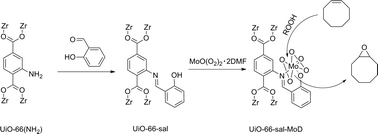 Graphical abstract: Efficient molybdenum(vi) modified Zr-MOF catalysts for epoxidation of olefins
