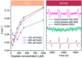 Graphical abstract: Diverse redox chemistry of photo/ferrioxalate system