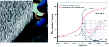 Graphical abstract: Magnetic anisotropy induced in NiCo granular nanostructures by ZnO nanorods deposited on a polymer substrate