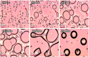 Graphical abstract: Formation and dynamics of core–shell droplets in immiscible polymer blends