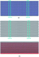 Graphical abstract: Investigation on thermal conductivity of bilayer graphene nanoribbons