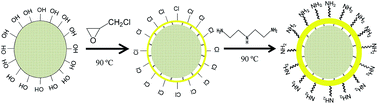 Graphical abstract: A potentially low-cost modified sawdust (MSD) effective for rapid Cr(vi) and As(v) removal from water