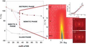 Graphical abstract: Effect of co-monomers' relative concentration on self-assembling behaviour of side-chain liquid crystalline elastomers