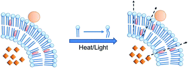 Graphical abstract: Construction of thermal- and light-responsive liposomes noncovalently decorated with gold nanoparticles