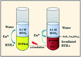 Graphical abstract: Extraction mechanism and γ-radiation effect on the removal of Eu3+ by a novel BTPhen/[Cnmim][NTf2] system in the presence of nitric acid