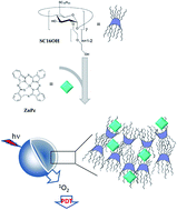 Graphical abstract: Nanoassembly of an amphiphilic cyclodextrin and Zn(ii)-phthalocyanine with the potential for photodynamic therapy of cancer