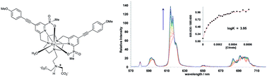 Graphical abstract: Selective ion pair recognition of citrate and zinc ions in water by ratiometric luminescence signaling