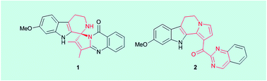 Graphical abstract: Pegaharmalines A and B, two novel β-carboline alkaloids with unprecedented carbon skeletons from Peganum harmala